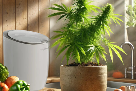The Secret to Thriving 420 Plants: Master Fertilization with an Electric Composter 🌱✨